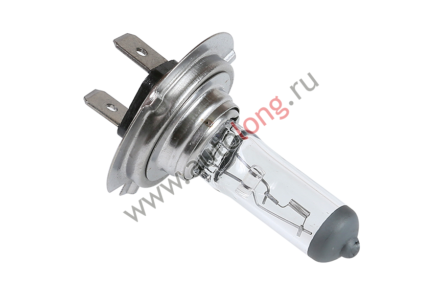 Лампа галогеновая 12В Xenite Standard H7 (PX26d) Лампа галогеновая 12В Xenite Standard H7 (PX26d)