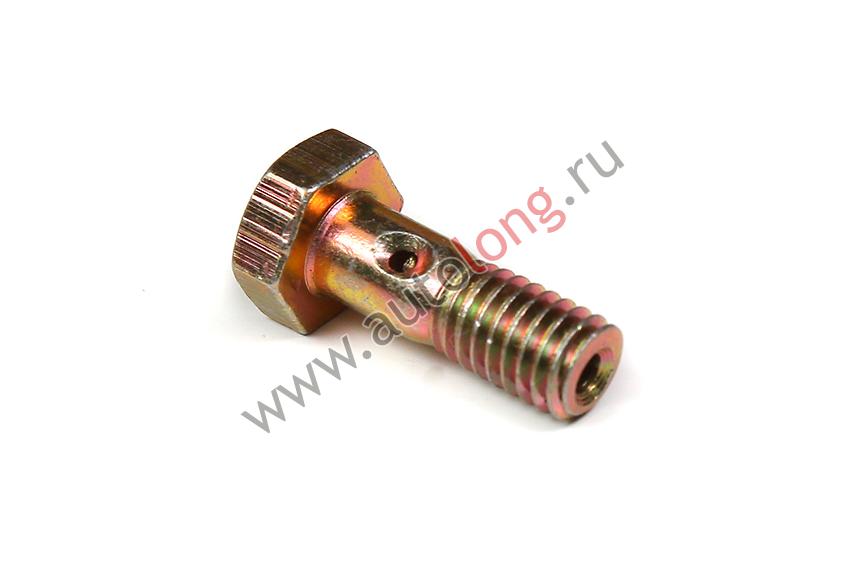 Болт штуцер М6х1 Болт штуцер М6х1