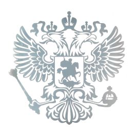 Наклейка автомобильная Наклейка автомобильная
