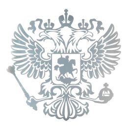 Наклейка автомобильная Наклейка автомобильная