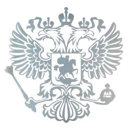 Наклейка автомобильная Наклейка автомобильная