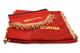 Шторы SСANIA 4 серии (TOPL с ламбрекеном лобового) Бахрома Шторы SСANIA 4 серии (TOPL с ламбрекеном лобового) Бахрома