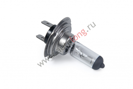 Галогеновая лампа 12В H7 55W Blue Light Галогеновая лампа 12В H7 55W Blue Light