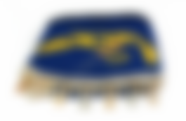 Ламбрекен лобового стекла и угол на грузовики ЯСТРЕБ (Синий с бело-золотым) Малый